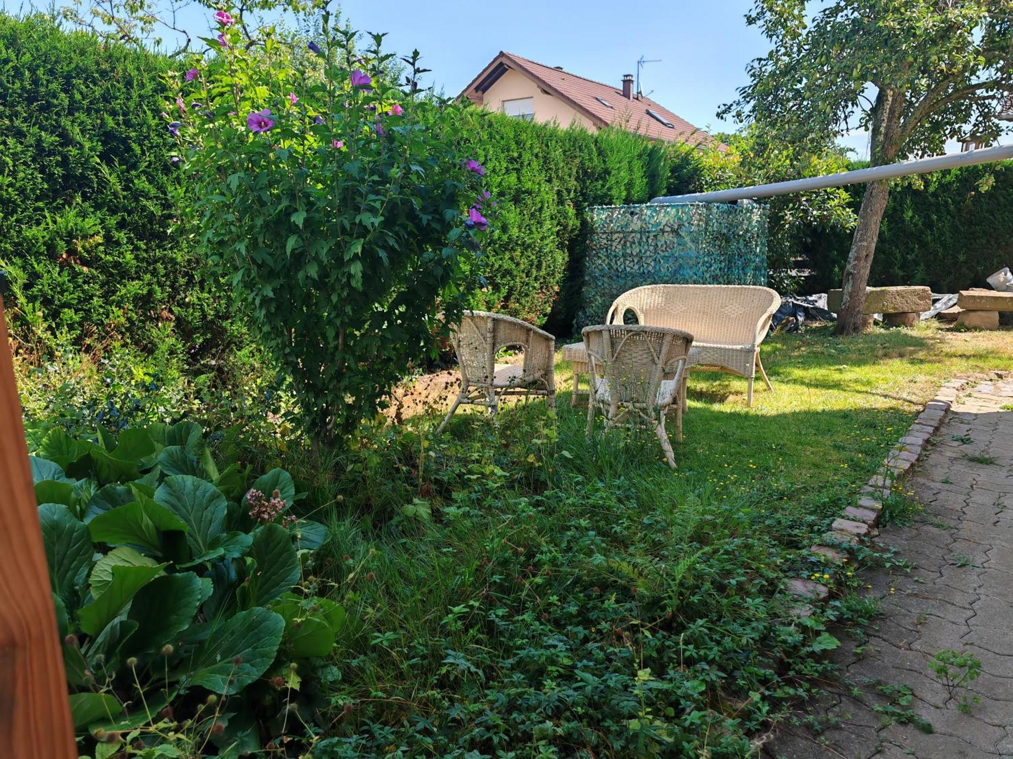 Appartement " Le Chardonneret " Issenheim Dış mekan fotoğraf